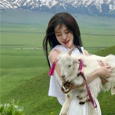 圣灵请回答